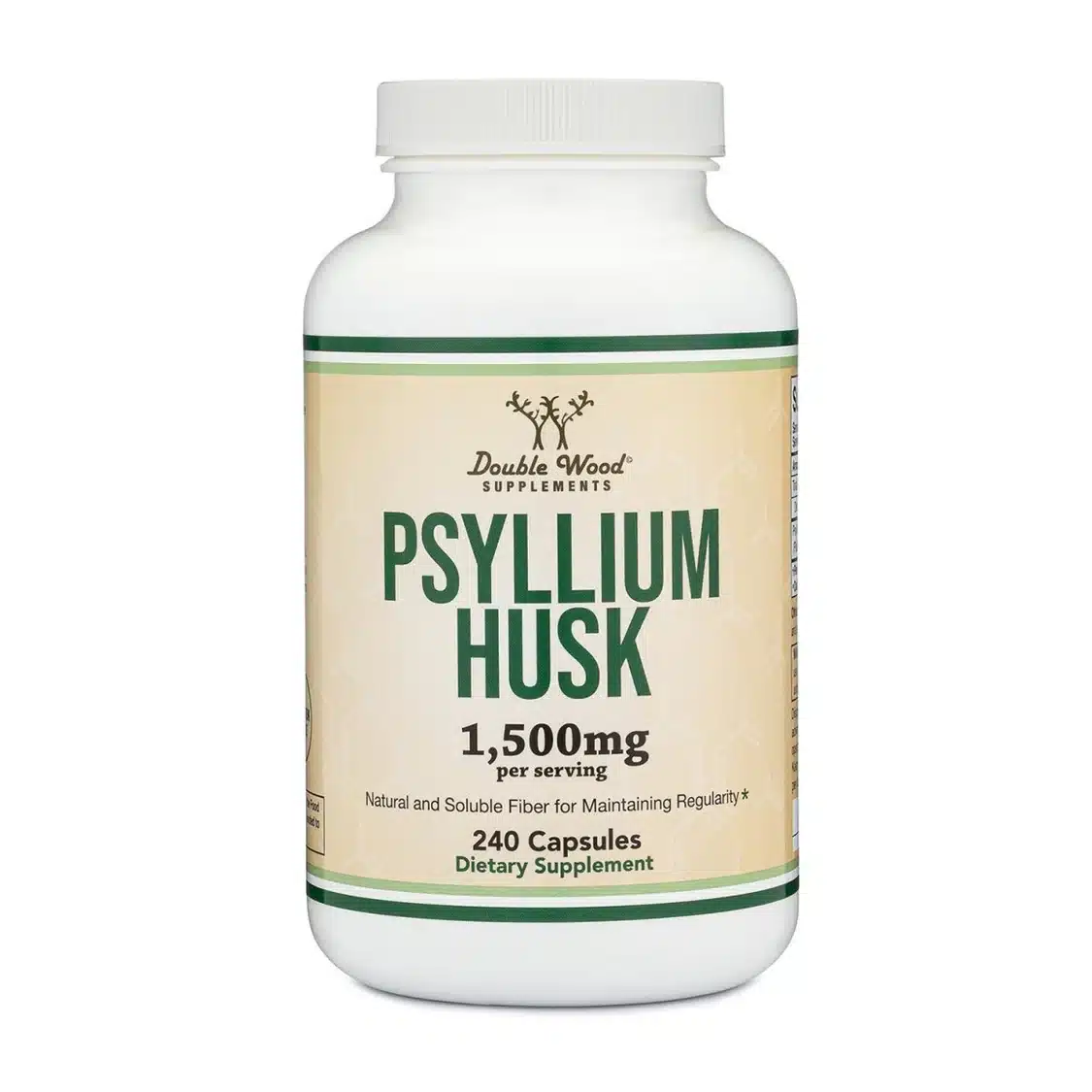 Psyllium Husk-1 Psyllium Husk